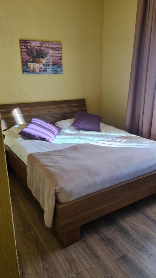 Hotel Gema Brašov Exteriér fotografie